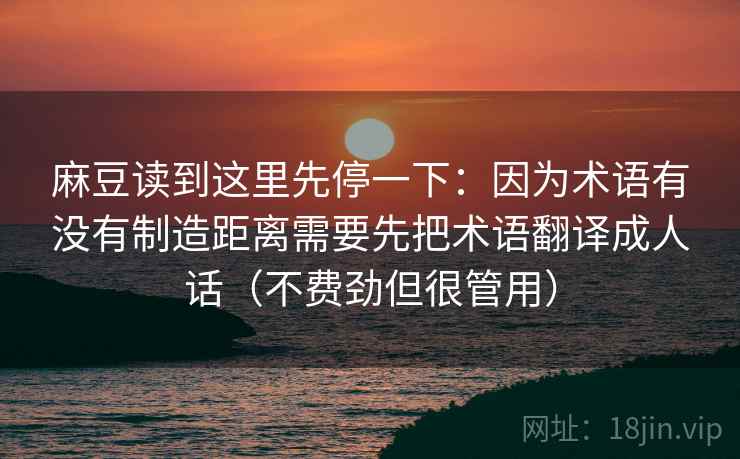 麻豆读到这里先停一下：因为术语有没有制造距离需要先把术语翻译成人话（不费劲但很管用）